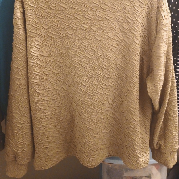 Slouchy Beige Top - Picture 2 of 2